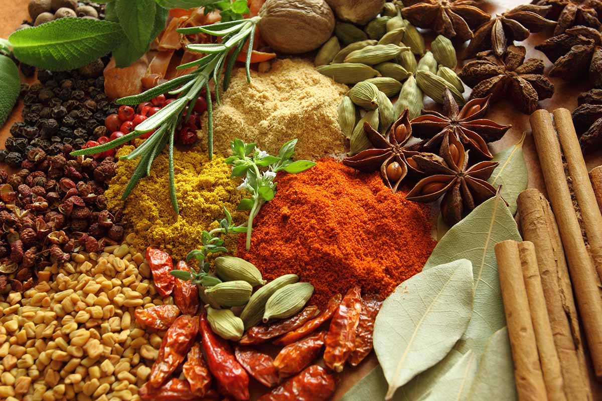 A close up horizontal image of a variety of different herbs and spices both fresh and dried.