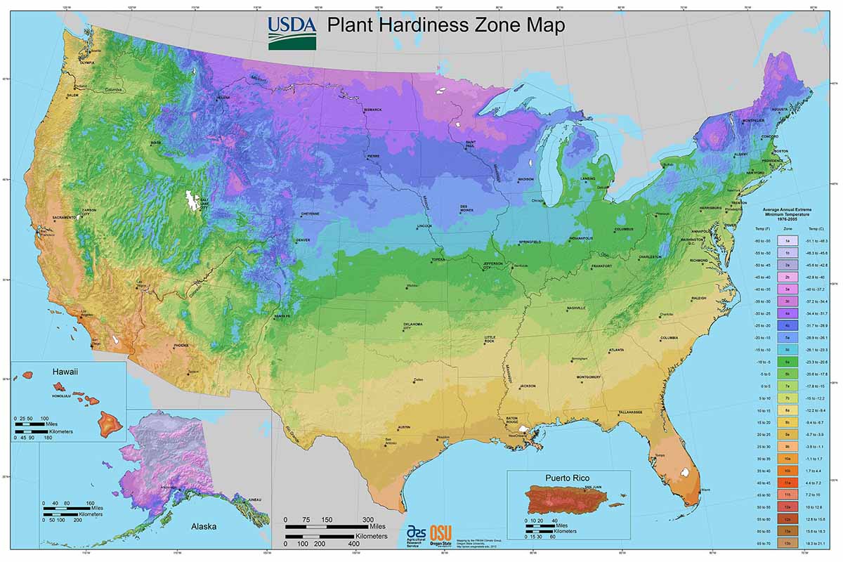 A horizontal image of the USDA Plant Hardiness Zone map.