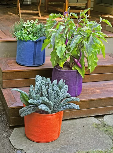 A close up of three Universal Grow Bags with herbs and vegetables set on wooden steps.
