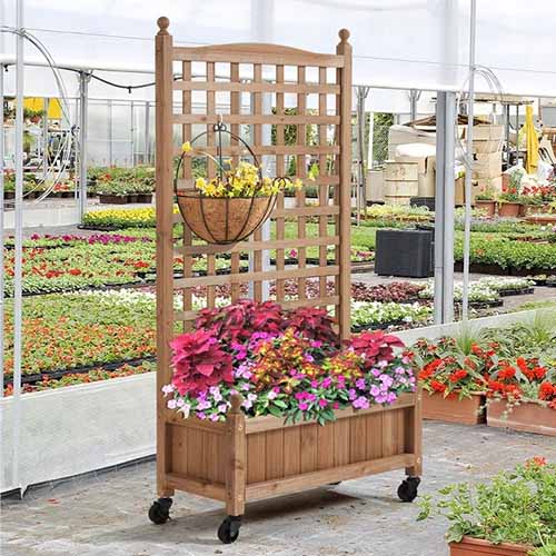 A square image of a wooden planter box with a built in trellis.