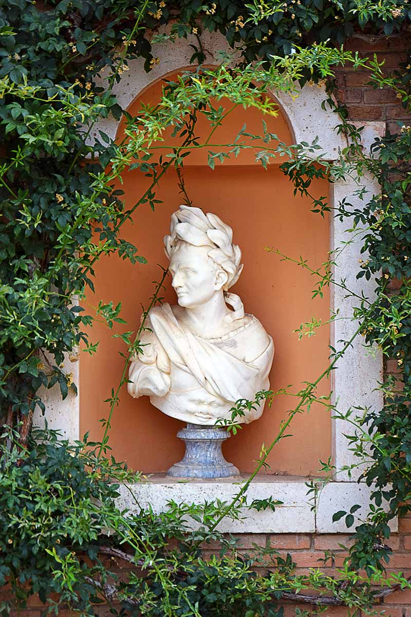 A close up vertical image of a Roman emperor head statue with a laurel wreath, surrounded by vines.