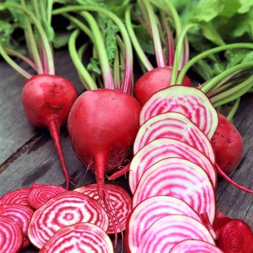 A close up of whole and sliced 'Chioggia' beets set on a wooden surface.