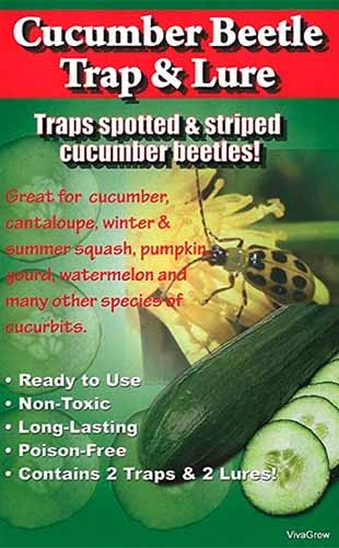 A close up vertical image of the packaging of Cucumber Beetle Trap and Lure.