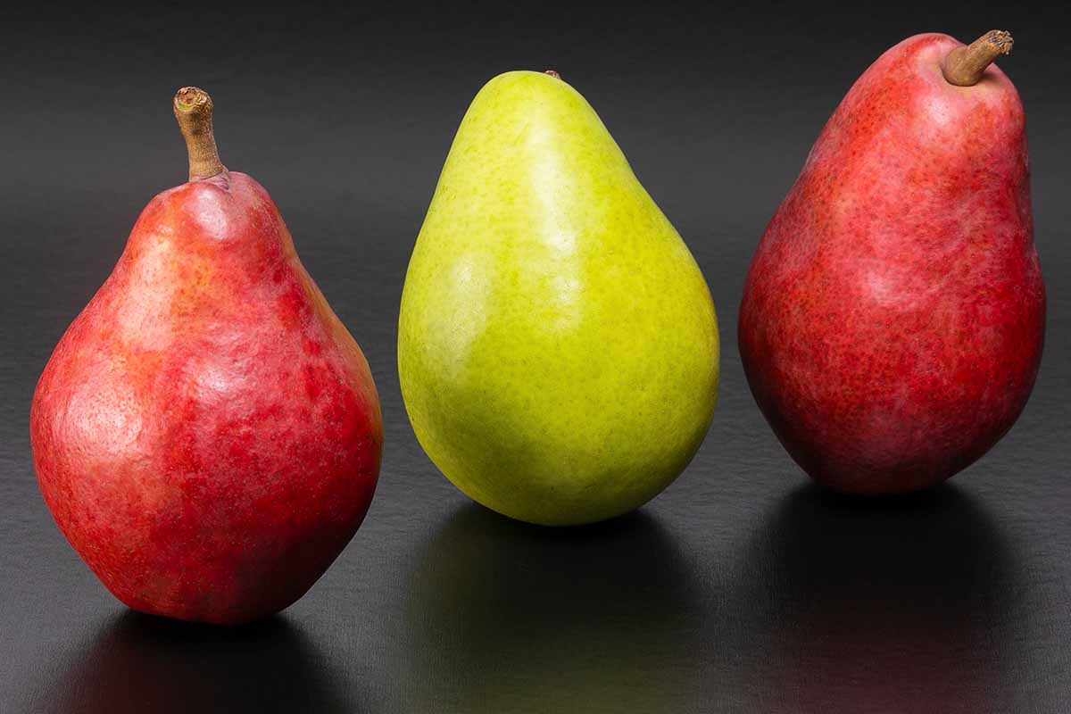 A horizontal image of green and red pears set on a dark brown surface.