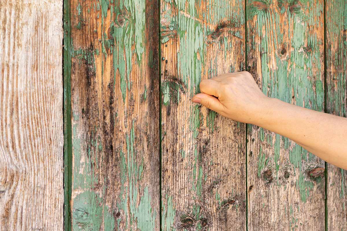A close up horizontal image of a hand from the right of the frame knocking on a wooden door.