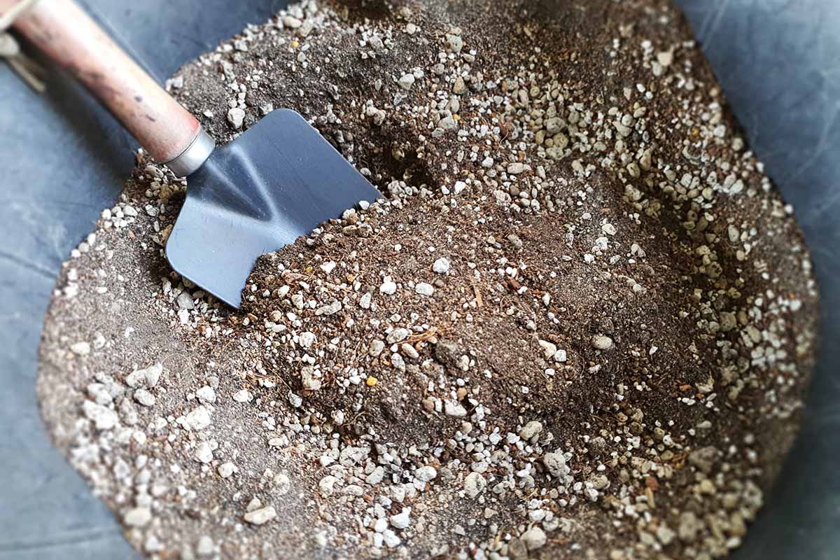 A close up horizontal image of a prepared cactus potting soil with a trowel to mix it up.
