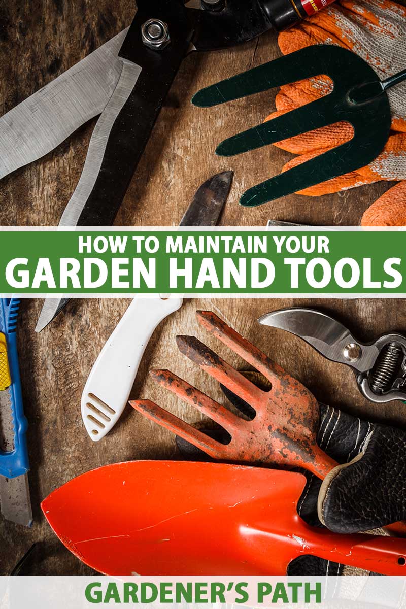 A close up vertical image of a variety of different garden hand tools set on a wooden surface. To the center and bottom of the frame is green and white printed text.
