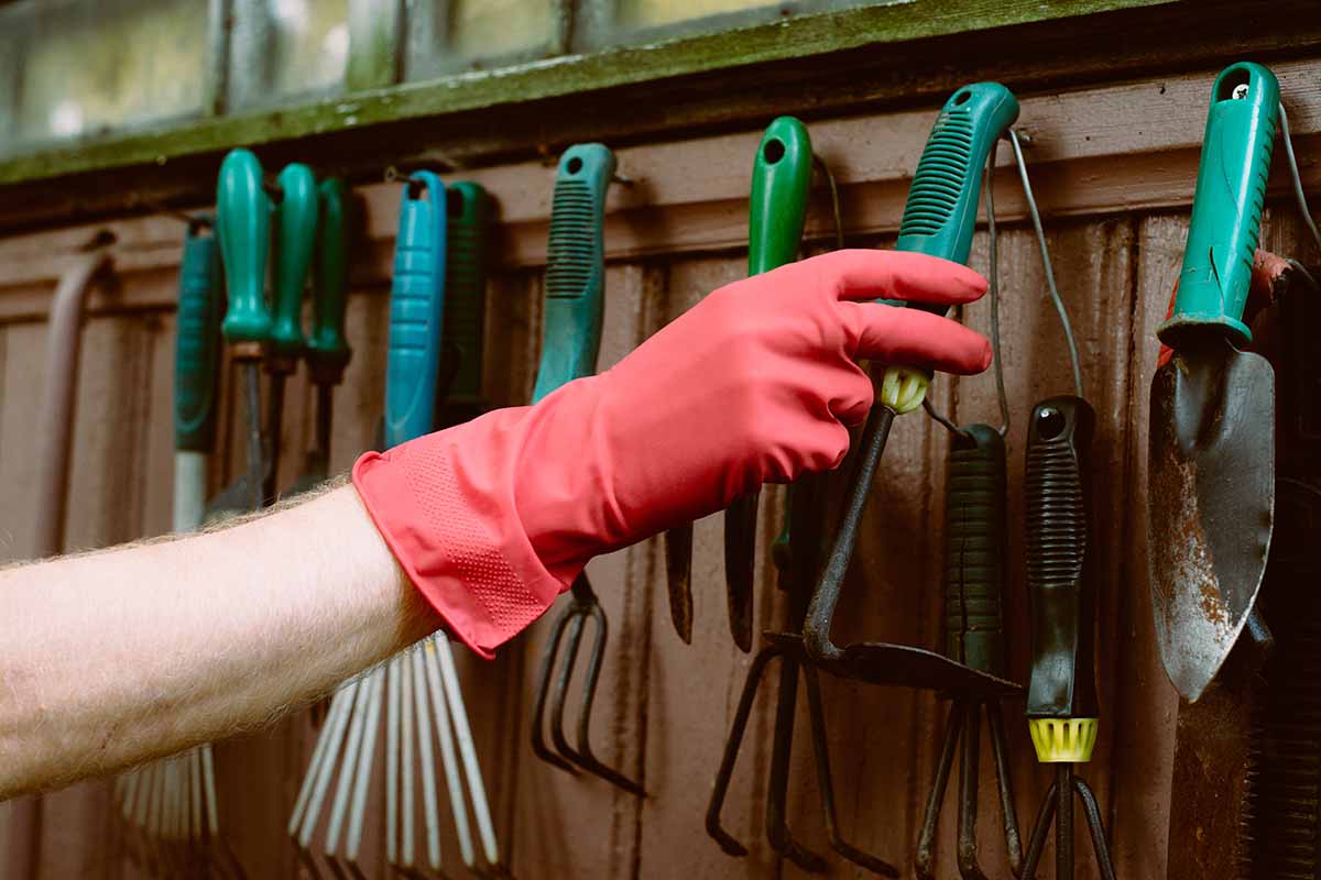 A close up horizontal image of a gloved hand hanging up tools in the garden shed.