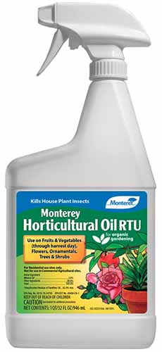 A vertical image of Monterey's Ready-To-Use Horticultural Oil in front of a white background.