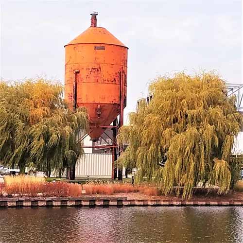 A square image of 'Niobe' weeping willows growing next to an old grain silo next to a canal.