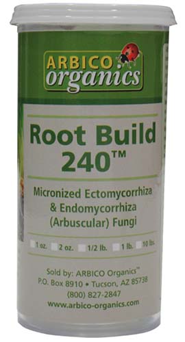 A close up of the packaging of Root Build 240 isolated on a white background.