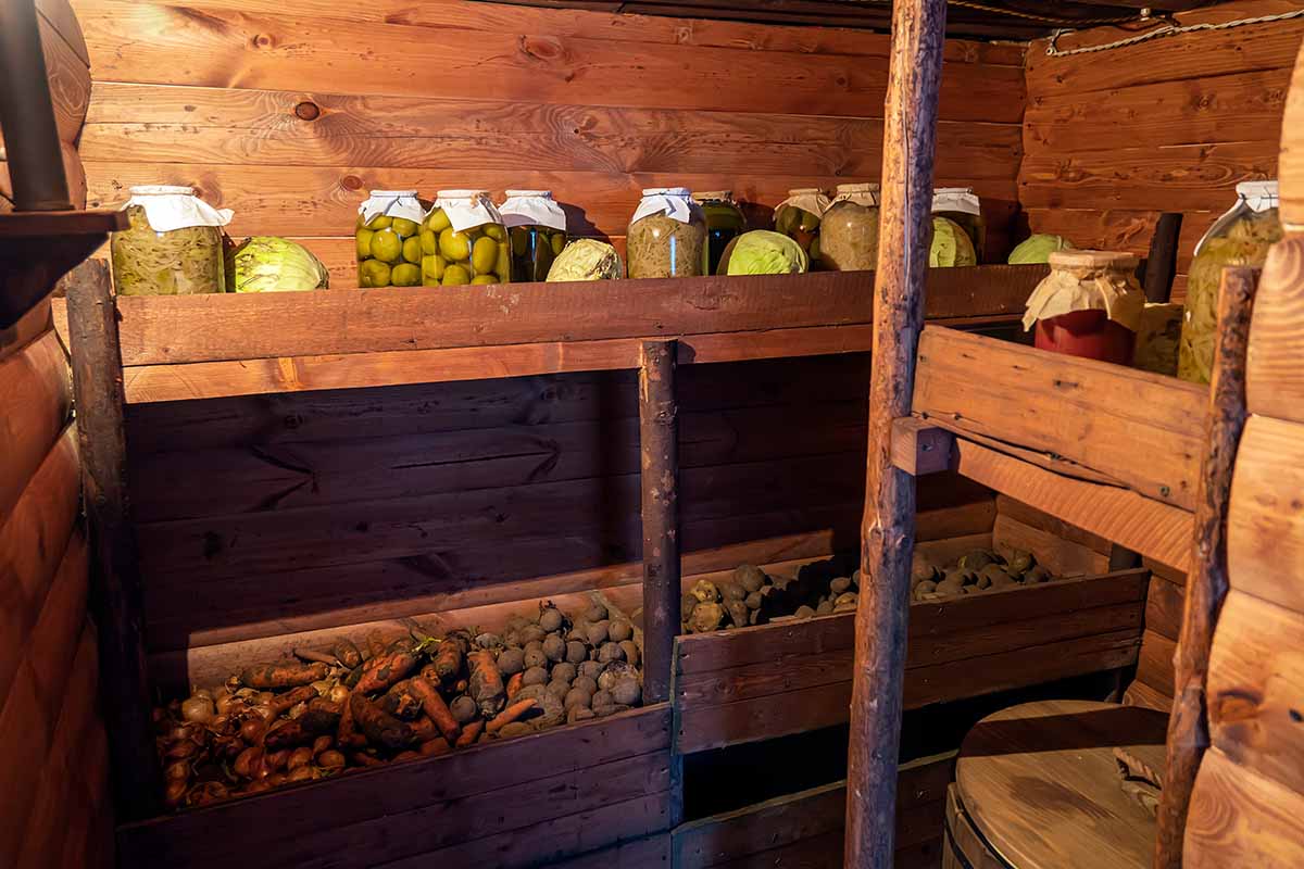 A horizontal image of a root cellar storing a variety of winter vegetables and canned pickles.