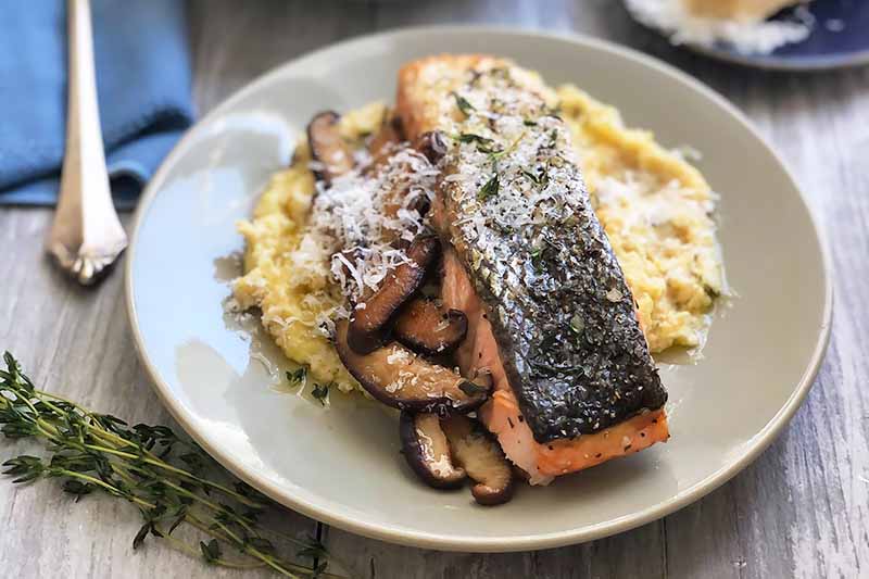 A close up horizontal image of a plate of freshly prepared salmon with shiitake mushrooms and grits.
