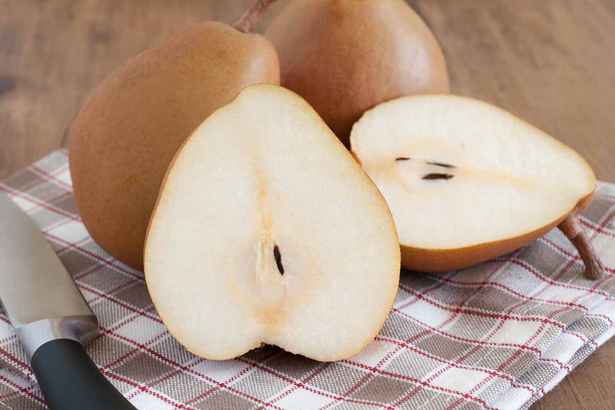 A close up horizontal image of whole and sliced 'Taylor's Gold' pears set on a wooden table.