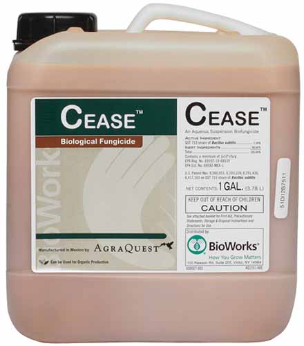 A square photo of a gallon jug of Cease biological fungicide.