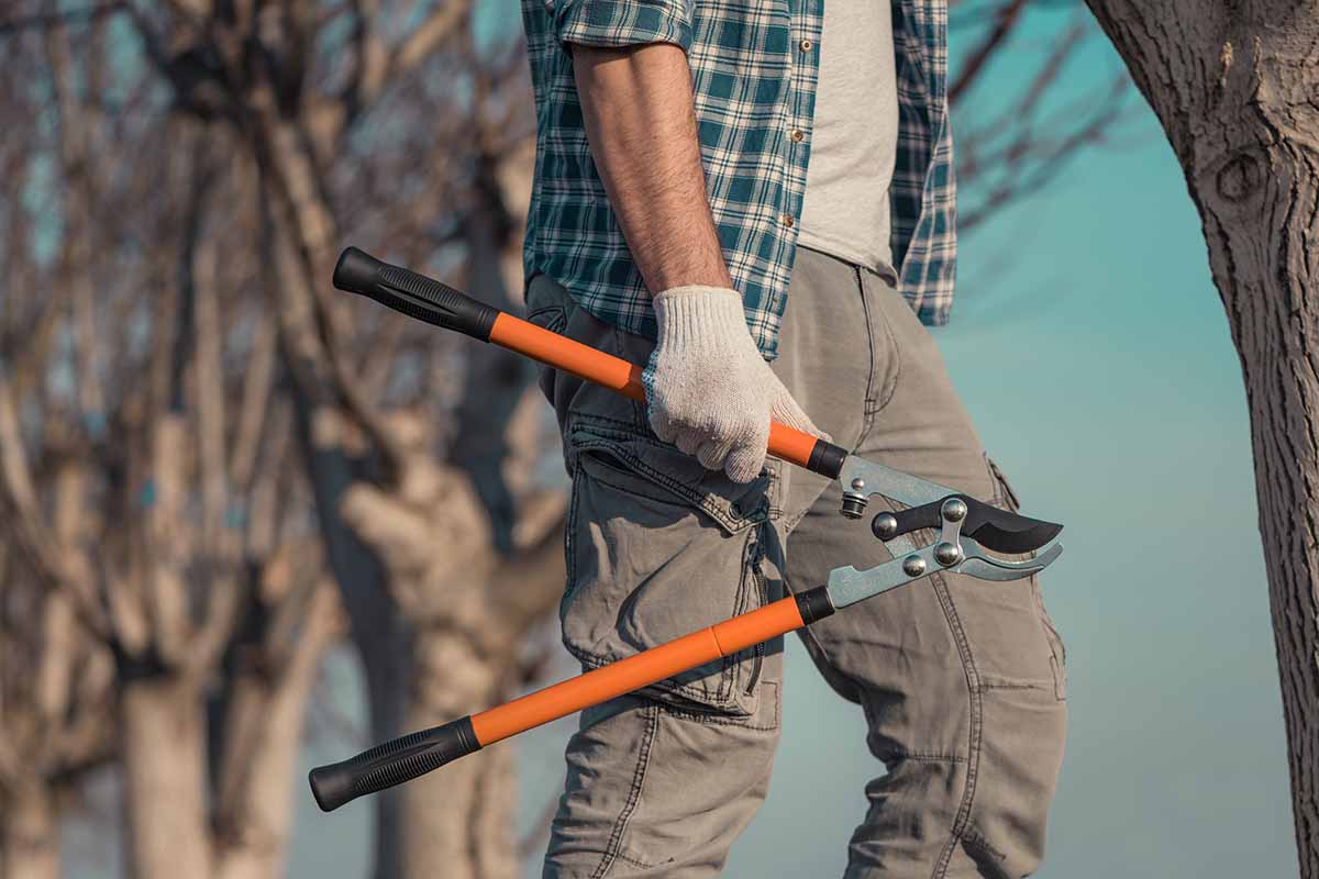 A horizontal shot of a gardener in a plaid shirt and khaki cargo pants carrying a telescopic ratchet bypass lopper at hip level.