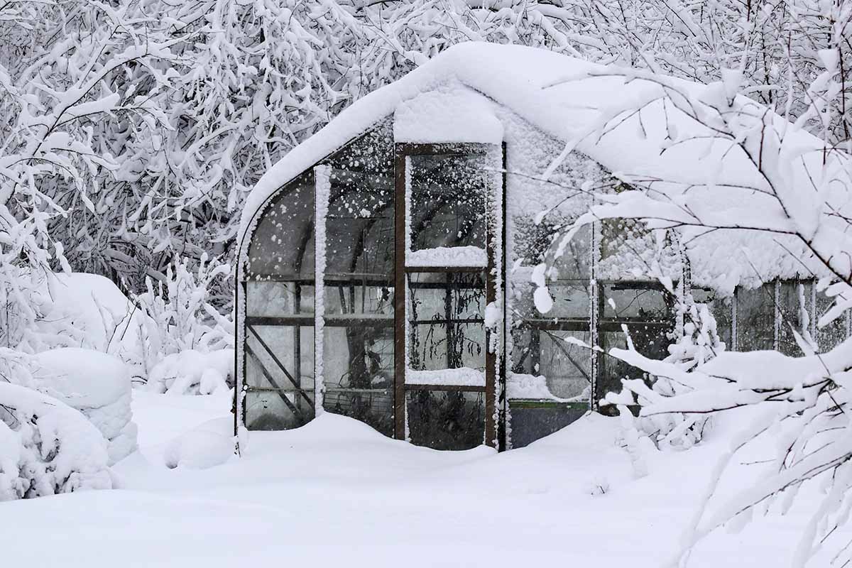 A horizontal image of a backyard structure covered in a heavy layer of snow.