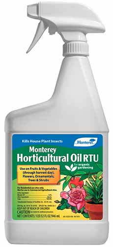 A vertical image of a bottle of Monterey's Ready-To-Use horticultural oil in front of a white background.