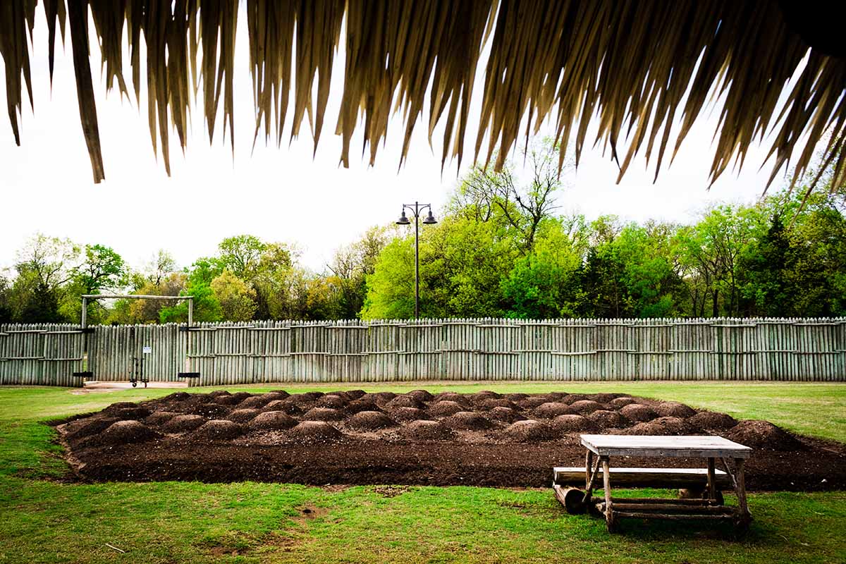 A horizontal shot from the doorway of a Native American winter house. The garden planting area is dotted with mounds of soil and surrounded by a wooden fence. In the foreground is a picnic table.