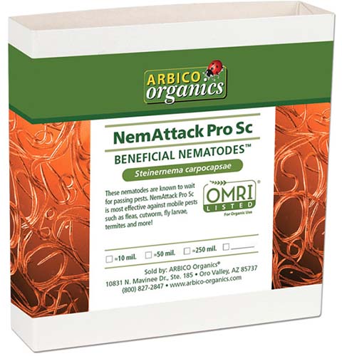 A closeup image of Arbico Organics' OMRI-listed NemAttack Pro Sc product of beneficial Steinernema carpocapsae nematodes in front of a white background.