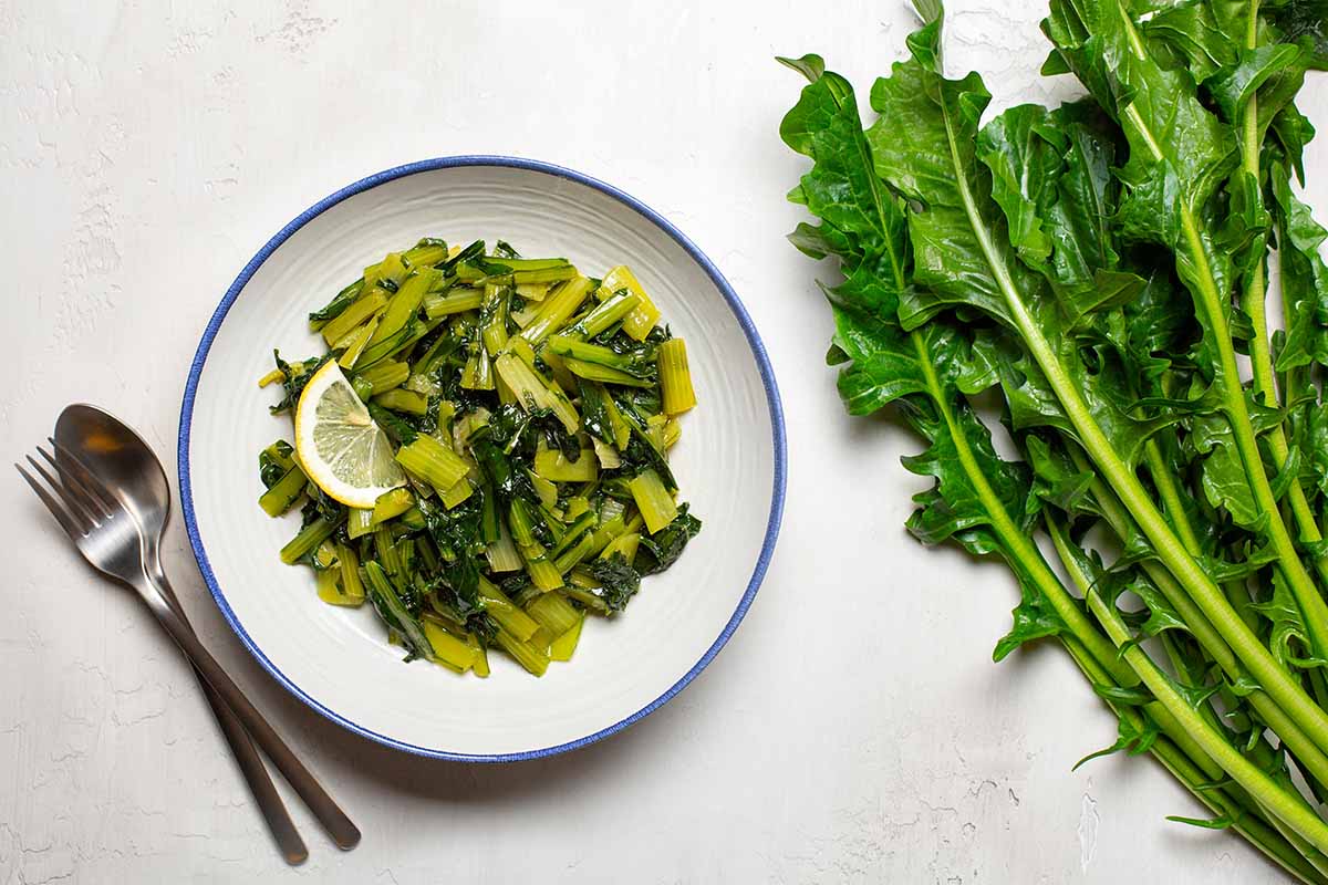 A horizontal top view of a plate with sautéed chicory greens on a white table. To the right are some harvested chicory leaves.