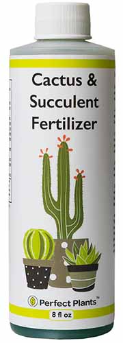 A close up of a bottle of Cactus and Succulent Fertilizer isolated on a white background.