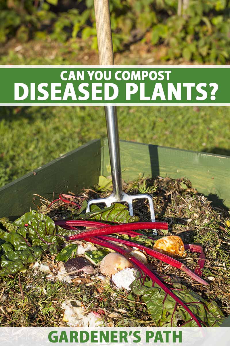 A close up vertical image of a garden fork in a backyard compost pile pictured in light sunshine. To the top and bottom of the frame is green and white printed text.