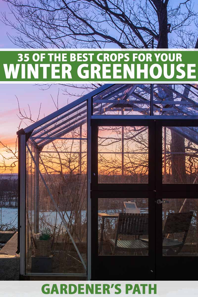 A close up vertical image of a greenhouse in evening winter light. To the top and bottom of the frame is green and white printed text.