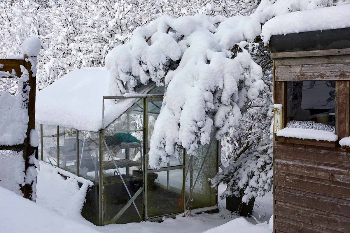 A close up horizontal image of an outdoor greenhouse covered in snow in the depths of winter.