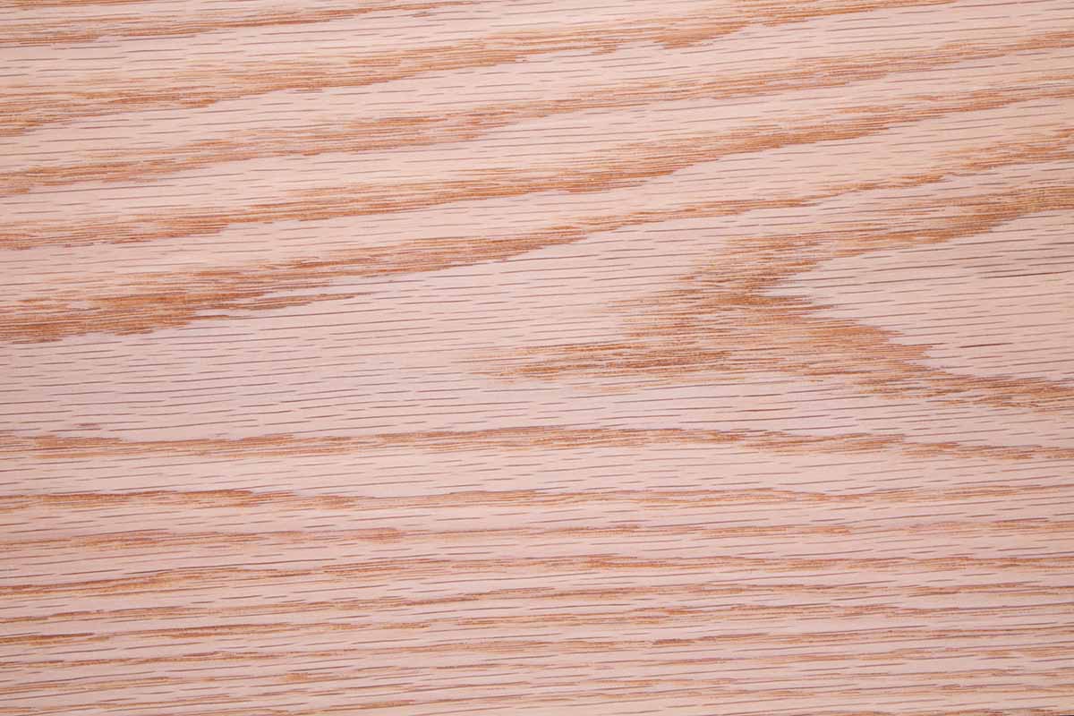 A close up of the grain of Quercus rubra lumber.