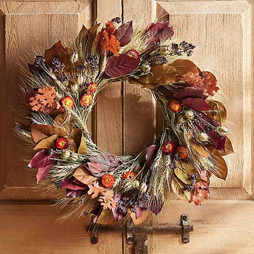 A close up of a dried wreath in autumn colors hanging from a wooden door.