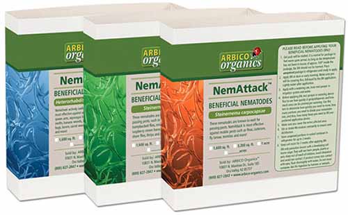 A horizontal image of the product information for Arbico Organics' NemAttack Beneficial Nematodes against a white background.