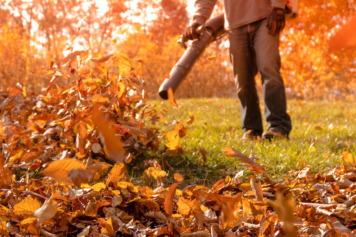 A close up horizontal image of a man in soft focus clearing up autumn leaves from the garden.