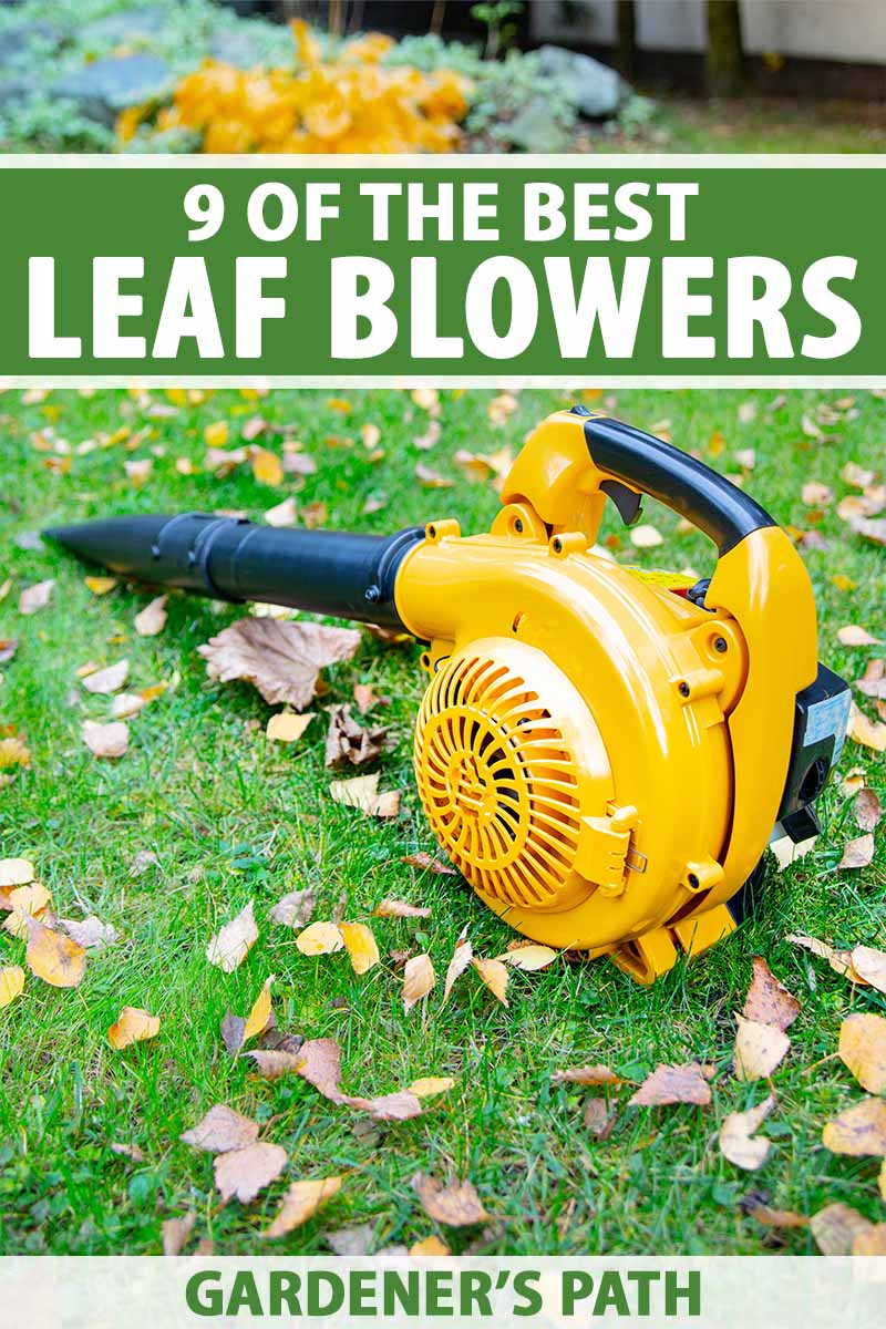A close up vertical image of a yellow and black leaf blower set on the lawn surrounded by leaves. To the top and bottom of the frame is green and white printed text.
