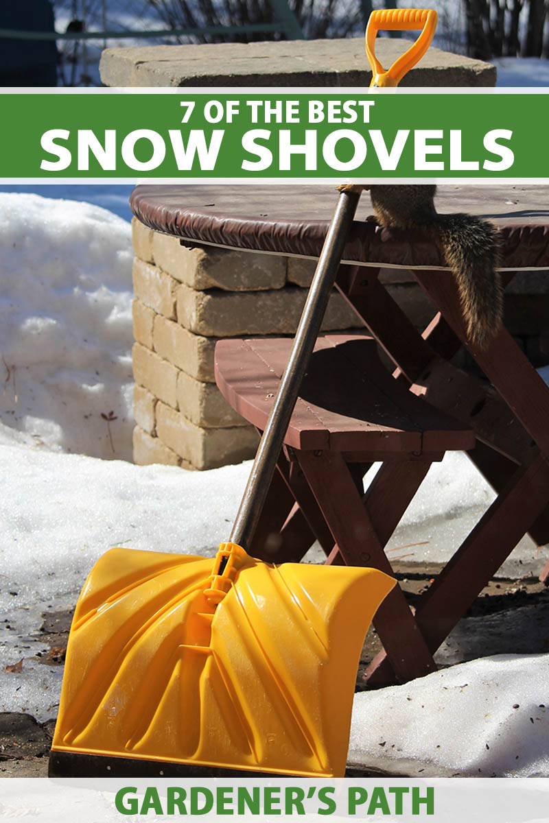 A close up vertical image of a snow shovel with an orange blade set against a wooden table with a squirrel on it, pictured in bright sunshine. To the top and bottom of the frame is green and white printed text.