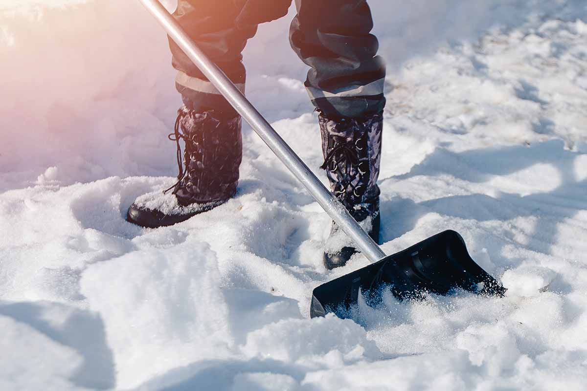 A close up horizontal image of a gardener on the left of the frame shoveling snow from a driveway.