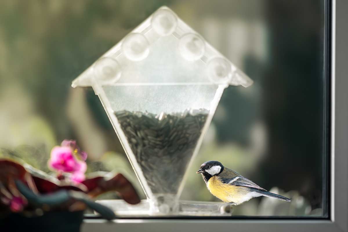 A horizontal shot through a window of a small black and white tit sitting on the outside of a clear bird feeder stocked with seeds.