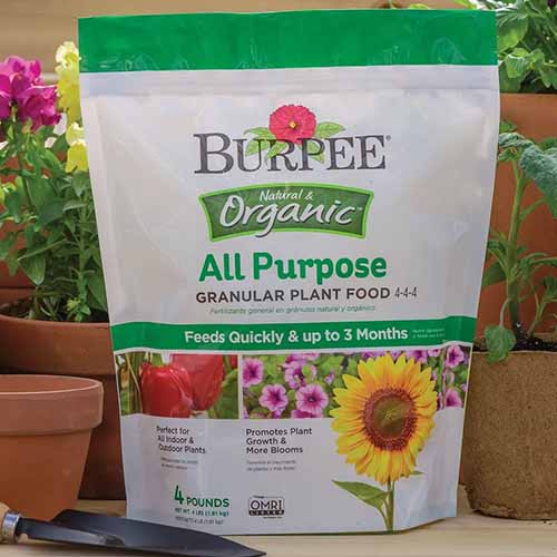 A square image of a bag of Burpee Organic All Purpose Granular Plant Food.