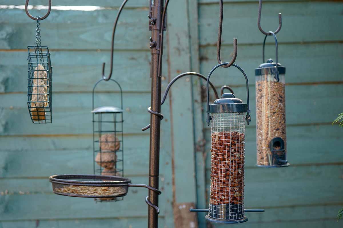 A horizontal shot of three different bird feeders hanging off of a wrought iron hanger in a garden.