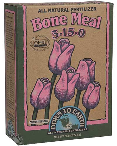 A square product photo of a box of Down to Earth Bone Meal.