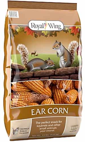 A vertical shot of a bag of ear corn for squirrels.