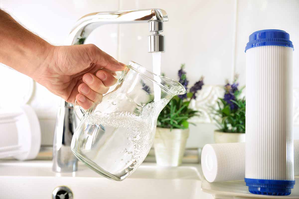 A horizontal shot of a man's hand holding a glass pitcher under a faucet and filling it. In the background are several houseplants along the back of the sink.