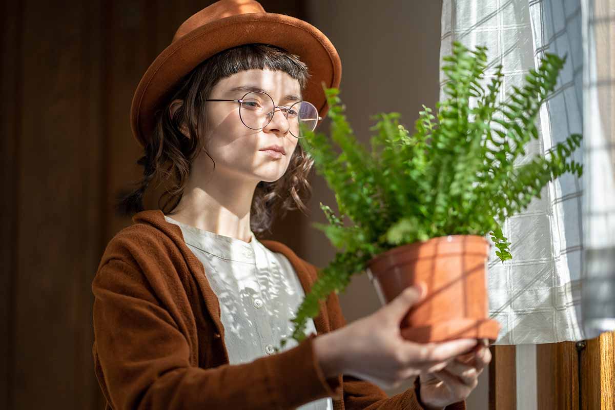 A horizontal photo of a gardener standing near a window with sunlight on her face and holding a fern potted in a terra cotta pot.