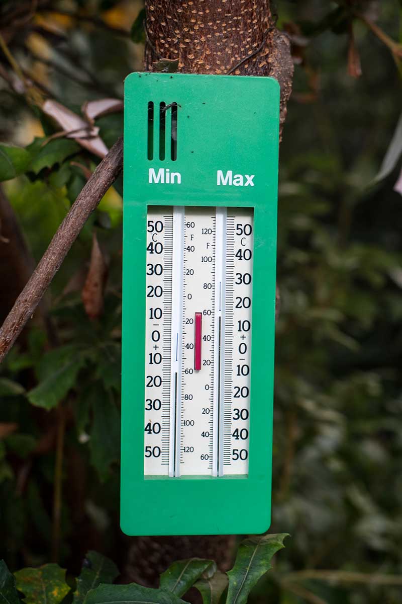 A vertical shot of a green thermometer in a greenhouse.