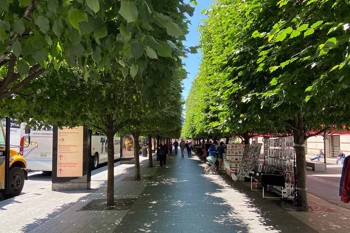 A horizontal image of two rows of linden trees lining a pedestrian street in New York, with market stalls and pedestrians below them.