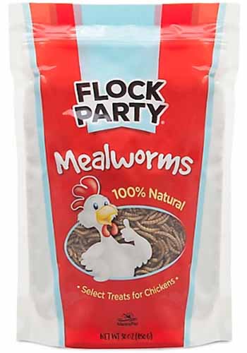 A vertical shot of a bag of Flock Party Mealworms.