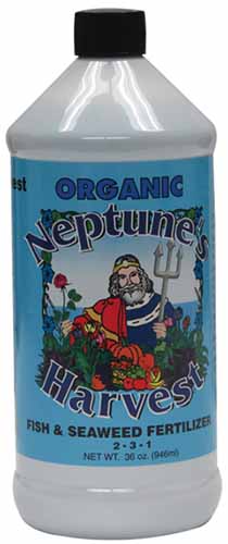 A vertical close up shot of a bottle of Neptune's Harvest fertilizer.