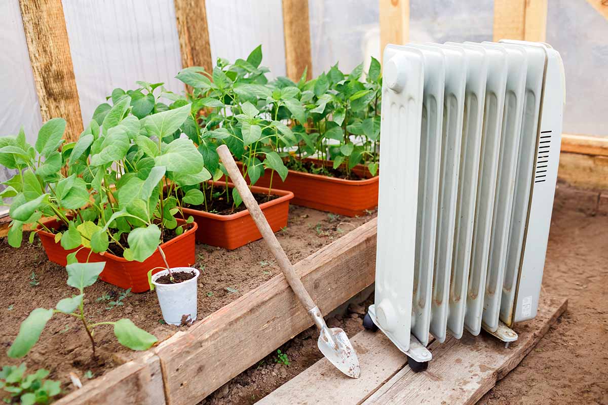 A horizontal photo of potted plants growing in a greenhouse with an oil heater next to the raised bed.