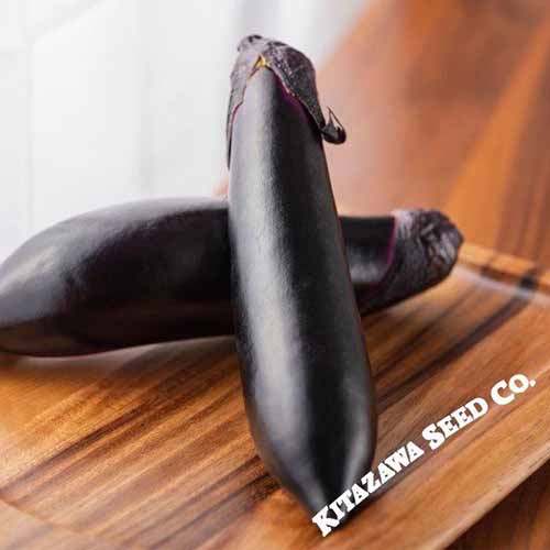 A square image of 'Shoya Long' eggplants set on a wooden surface.