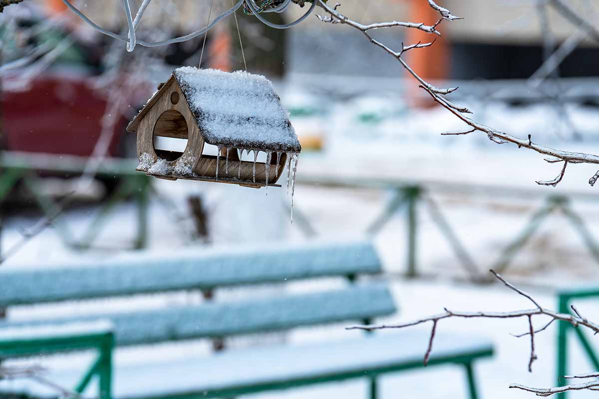 A horizontal shot of a small feeder in a tree. Underneath is a green park bench covered in snow.